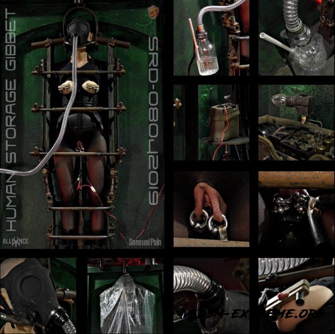 Human Storage Gibbet SRD08042019 With Abigail Dupree (2019/FullHD) [SENSUAL PAIN]