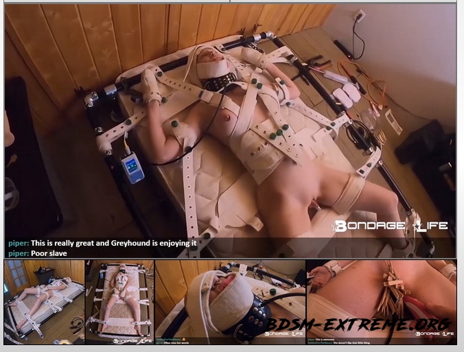 The Segufix Challenge – Rachel Greyhound, Dart_Tech (2020/HD) [BondageLife]