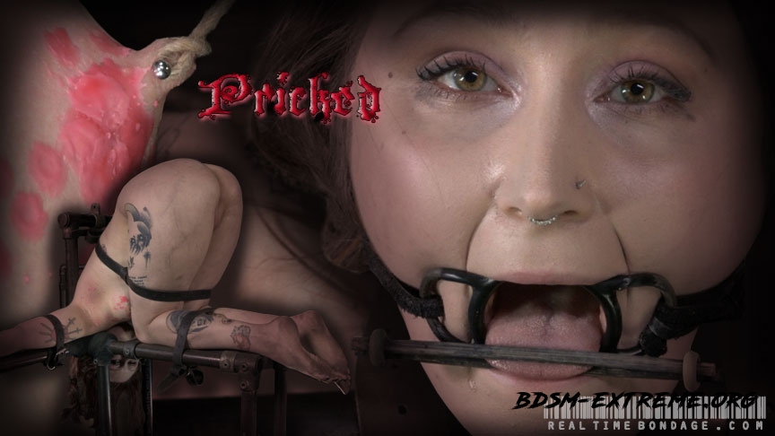 Pricked Part 2 With Mollie Ros, Cadence Cross (2021/HD) [RealTimeBondage]